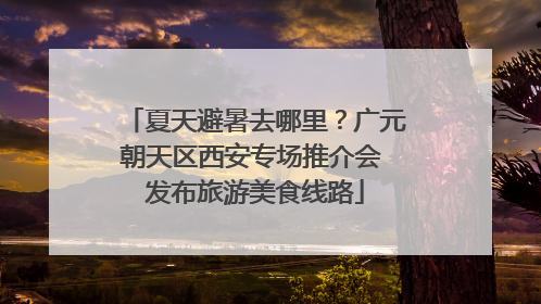 夏天避暑去哪里？广元朝天区西安专场推介会 发布旅游美食线路