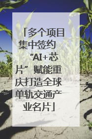 多个项目集中签约 “AI+芯片”赋能重庆打造全球单轨交通产业名片