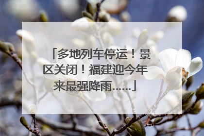 多地列车停运！景区关闭！福建迎今年来最强降雨……