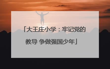 大王庄小学：牢记党的教导 争做强国少年