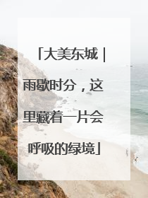 大美东城｜雨歇时分，这里藏着一片会呼吸的绿境