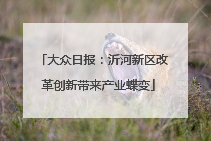 大众日报：沂河新区改革创新带来产业蝶变