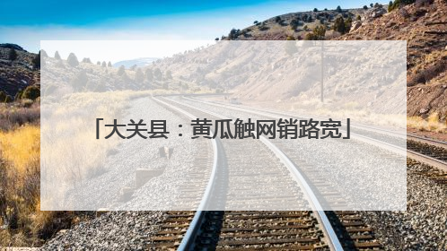 大关县：黄瓜触网销路宽