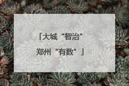 大城“智治” 郑州“有数”