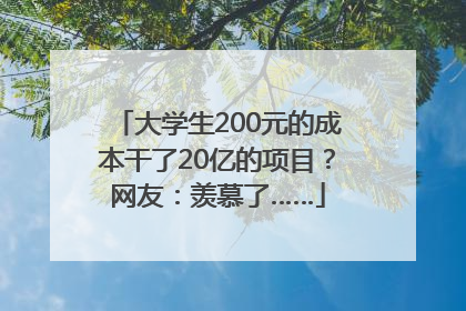 大学生200元的成本干了20亿的项目？网友：羡慕了……