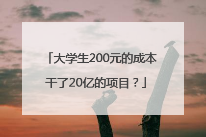 大学生200元的成本干了20亿的项目？