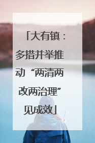 大有镇：多措并举推动“两清两改两治理”见成效