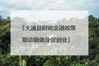 大通县财政金融政策联动稳就业促创业