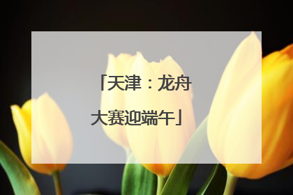 天津：龙舟大赛迎端午