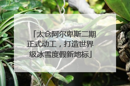 太仓阿尔卑斯二期正式动工，打造世界级冰雪度假新地标