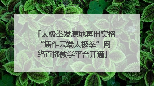 太极拳发源地再出实招 “焦作云端太极拳”网络直播教学平台开通
