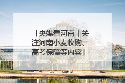 央媒看河南｜关注河南小麦收购、高考保障等内容