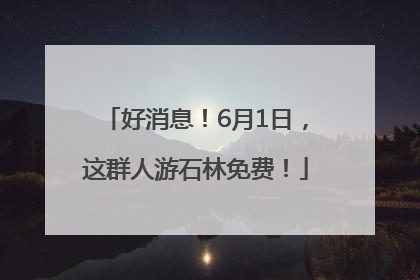 好消息！6月1日，这群人游石林免费！