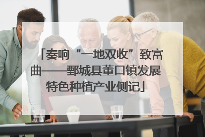 奏响“一地双收”致富曲——鄄城县董口镇发展特色种植产业侧记