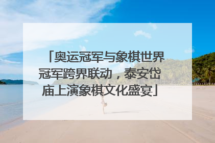 奥运冠军与象棋世界冠军跨界联动，泰安岱庙上演象棋文化盛宴