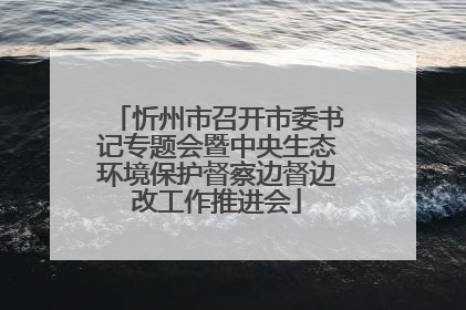忻州市召开市委书记专题会暨中央生态环境保护督察边督边改工作推进会