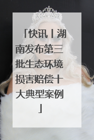 快讯丨湖南发布第三批生态环境损害赔偿十大典型案例