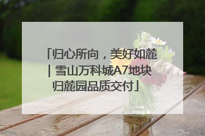 归心所向，美好如麓｜雪山万科城A7地块归麓园品质交付