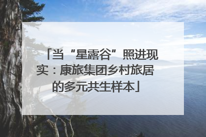当“星露谷”照进现实：康旅集团乡村旅居的多元共生样本