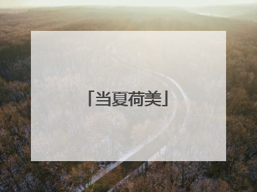 当夏荷美