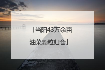当阳43万余亩油菜颗粒归仓