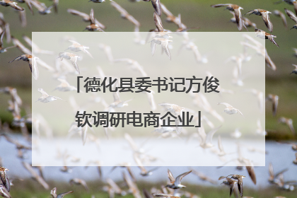 德化县委书记方俊钦调研电商企业