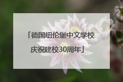 德国纽伦堡中文学校庆祝建校30周年