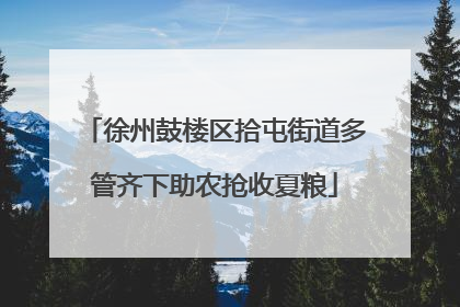徐州鼓楼区拾屯街道多管齐下助农抢收夏粮