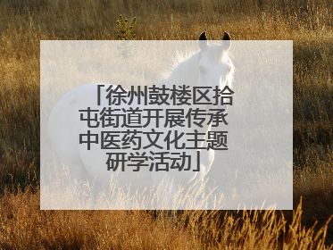 徐州鼓楼区拾屯街道开展传承中医药文化主题研学活动