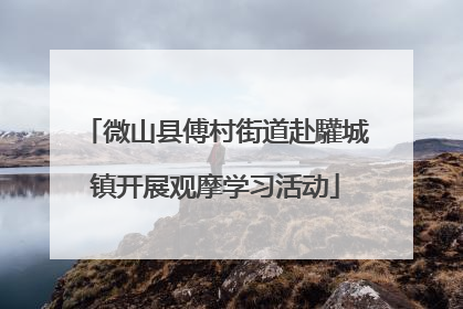 微山县傅村街道赴驩城镇开展观摩学习活动