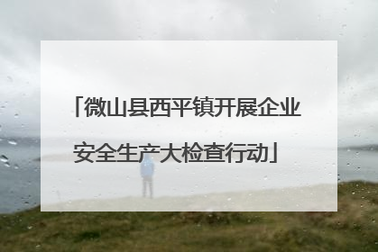 微山县西平镇开展企业安全生产大检查行动