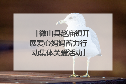 微山县赵庙镇开展爱心妈妈蓄力行动集体关爱活动