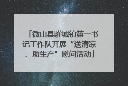 微山县驩城镇第一书记工作队开展“送清凉、助生产”慰问活动