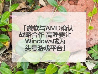 微软与AMD确认战略合作 高呼要让Windows成为头号游戏平台