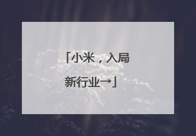 小米，入局新行业→
