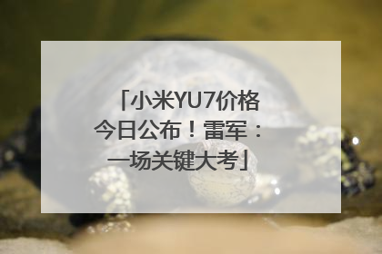 小米YU7价格今日公布！雷军：一场关键大考