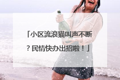小区流浪猫叫声不断？民情快办出招啦！