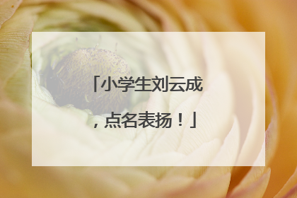 小学生刘云成，点名表扬！