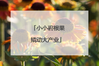 小小碧根果撬动大产业