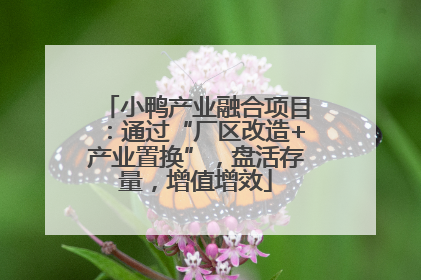 小鸭产业融合项目：通过“厂区改造+产业置换”，盘活存量，增值增效