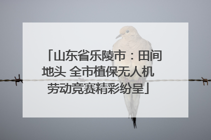 山东省乐陵市：田间地头 全市植保无人机劳动竞赛精彩纷呈