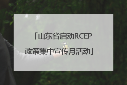 山东省启动RCEP政策集中宣传月活动