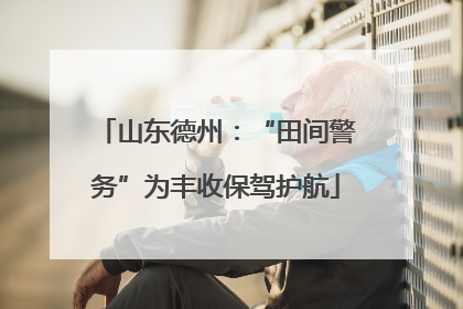 山东德州：“田间警务”为丰收保驾护航
