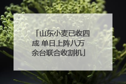 山东小麦已收四成 单日上阵八万余台联合收割机