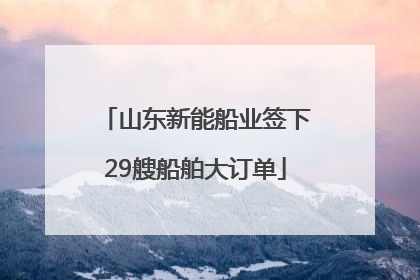 山东新能船业签下29艘船舶大订单