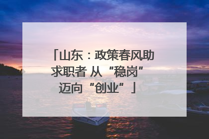 山东：政策春风助求职者 从“稳岗”迈向“创业”