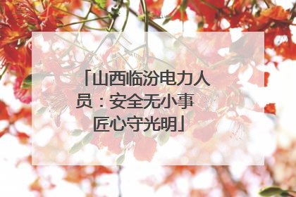 山西临汾电力人员：安全无小事 匠心守光明