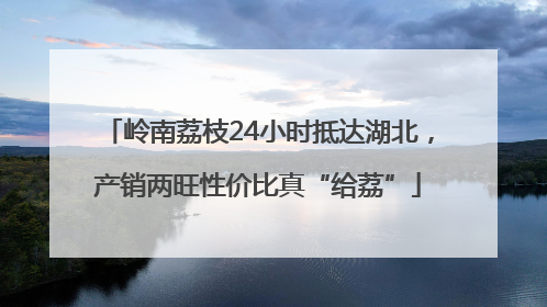 岭南荔枝24小时抵达湖北，产销两旺性价比真“给荔”