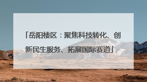 岳阳楼区：聚焦科技转化、创新民生服务、拓展国际赛道