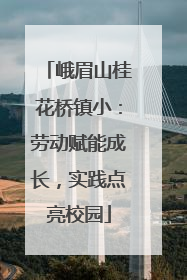 峨眉山桂花桥镇小：劳动赋能成长，实践点亮校园